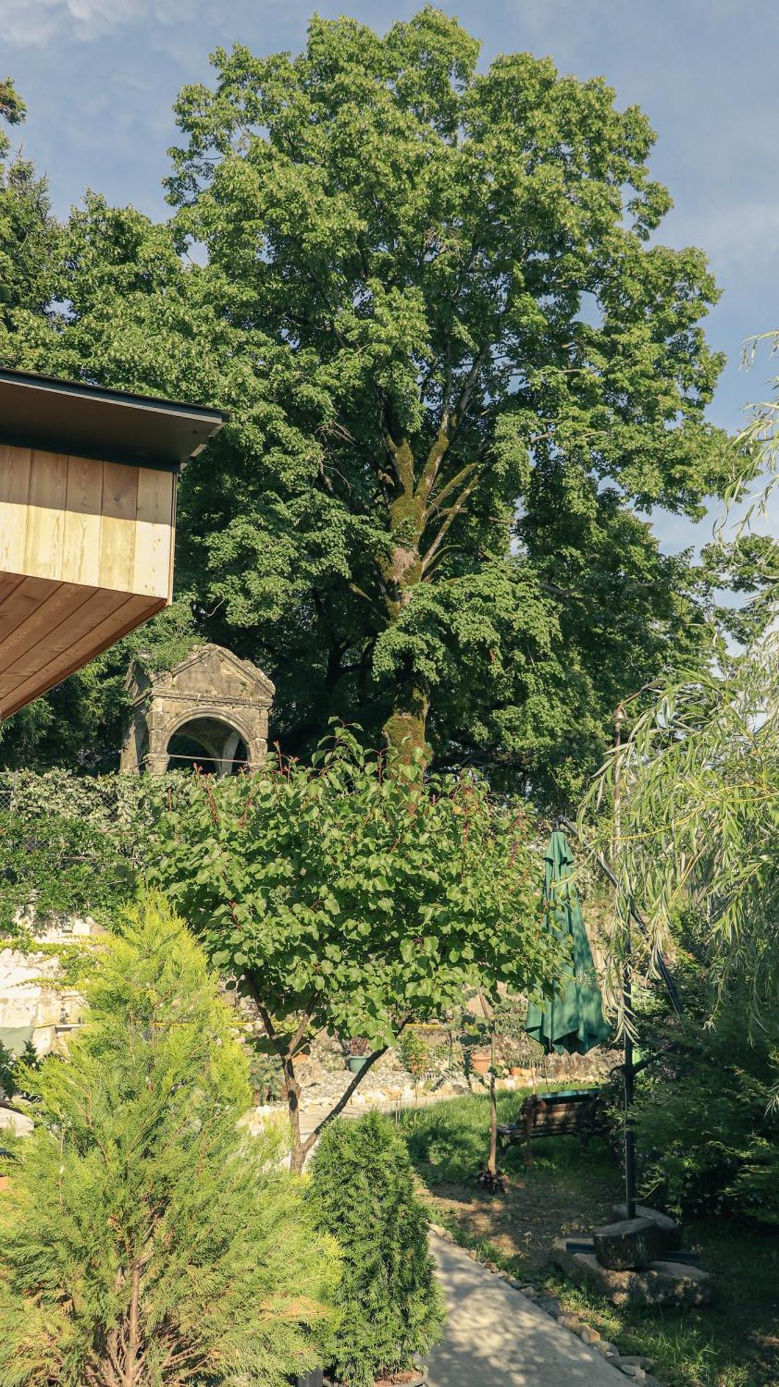 Garden Rooms In 쿠타이시 외부 사진